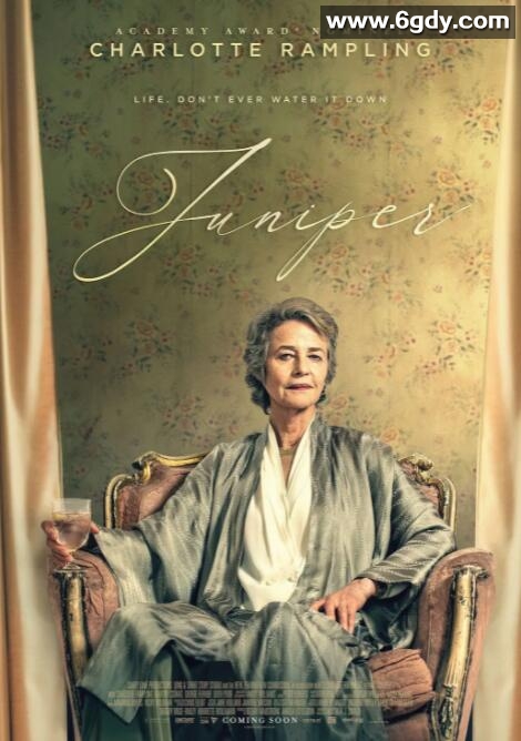 酒鬼奶奶(2021)HD高清迅雷网盘磁力下载