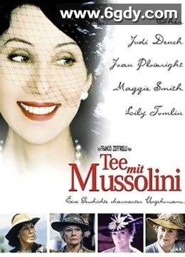 与墨索里尼喝茶(1999)HD高清迅雷网盘磁力下载