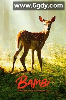 小鹿斑比，森林生活故事(2024)HD高清迅雷网盘磁力下载