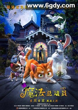 魔法总动员(2013)HD高清迅雷网盘磁力下载
