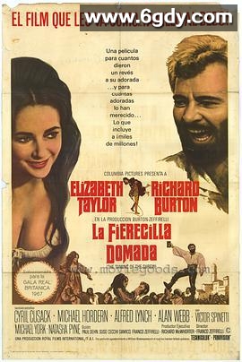 驯悍记(1967)HD高清迅雷网盘磁力下载