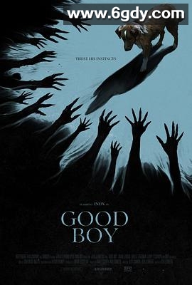 好狗狗(2025)HD高清迅雷网盘磁力下载